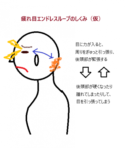 疲れ目と後頭部の関係を説明する図：目に力が入ると後頭部が緊張する仕組み